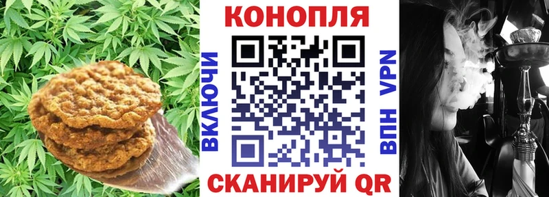 Еда ТГК марихуана  Купить  Могоча 