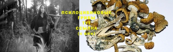 ALPHA-PVP Арсеньев