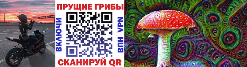 Купить  Могоча  Псилоцибиновые грибы Psilocybine cubensis 